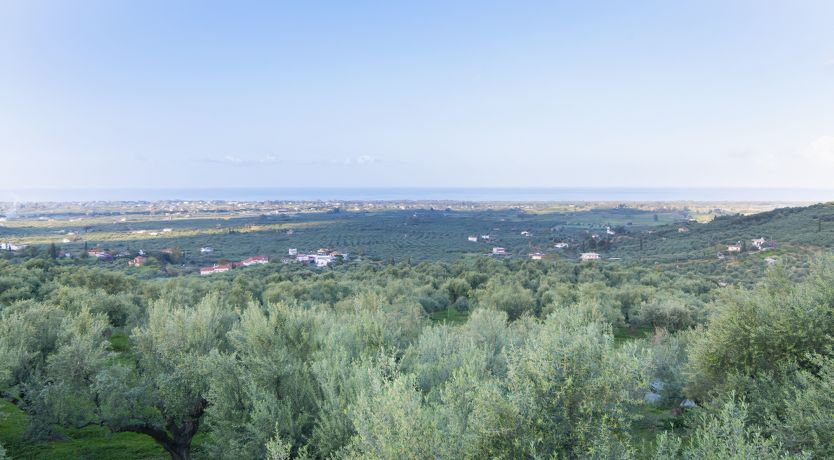 Photo of Land Meets Sea