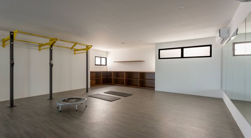 Photo of The Orange Conch