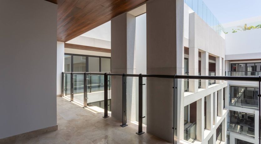 Photo of The Orange Conch