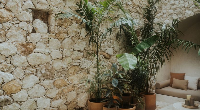 Photo of Restful Retreat