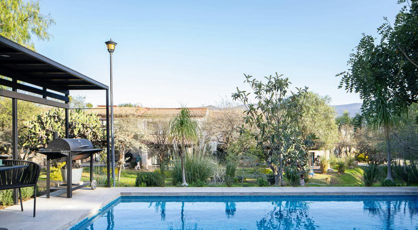 Photo of Dream Treasure