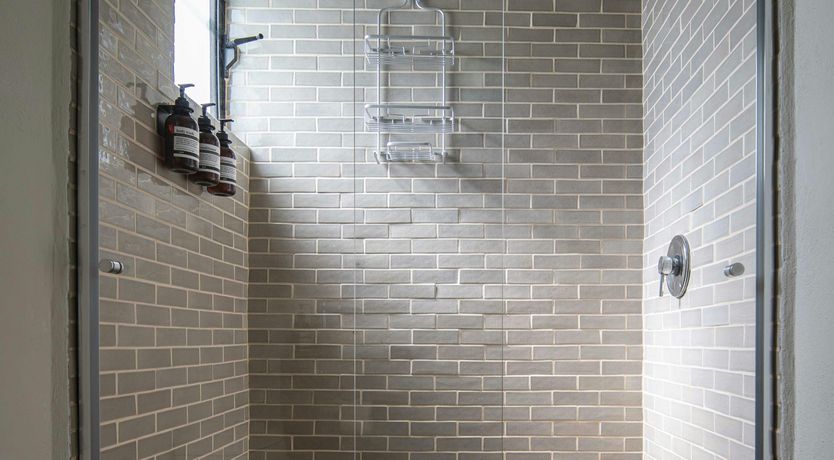 Photo of Dream Treasure