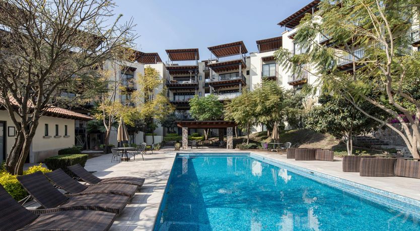 Photo of Dream Treasure