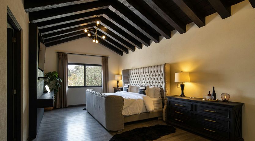 Photo of Dream Treasure