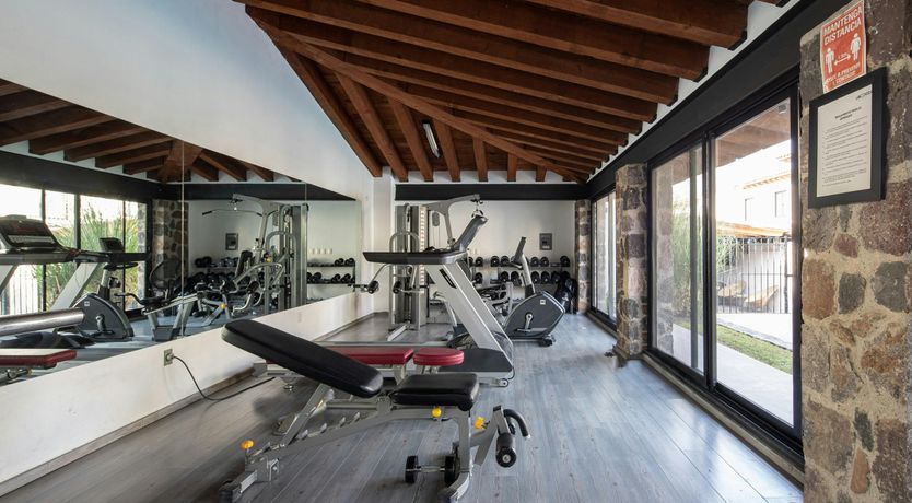 Photo of Dream Treasure