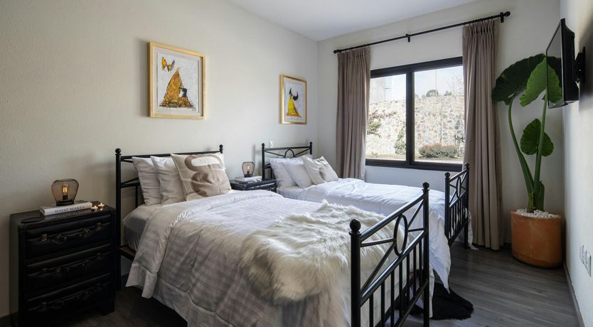 Photo of Dream Treasure