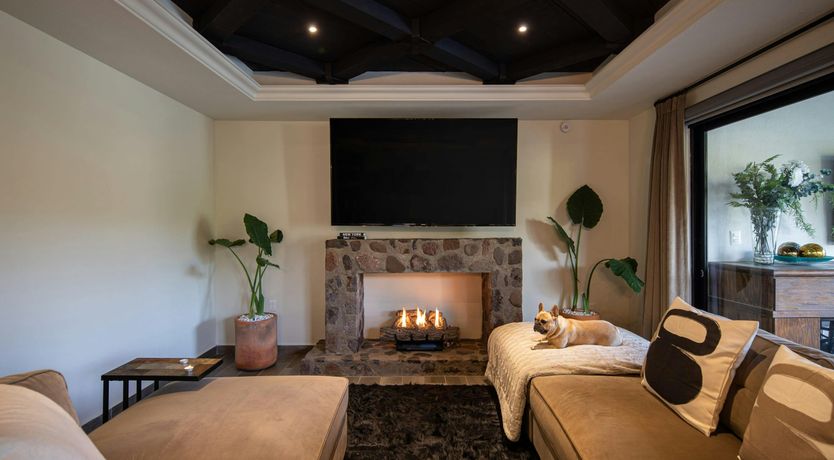 Photo of Dream Treasure