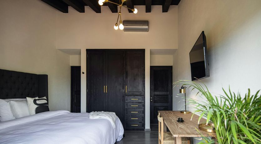 Photo of Dream Treasure