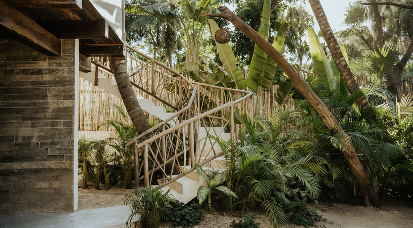 Photo of Palm Shaded Paradise