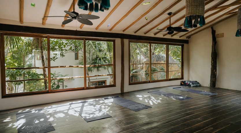 Photo of Palm Shaded Paradise