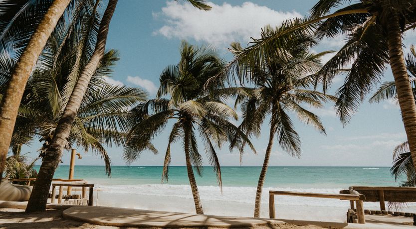 Photo of Palm Shaded Paradise