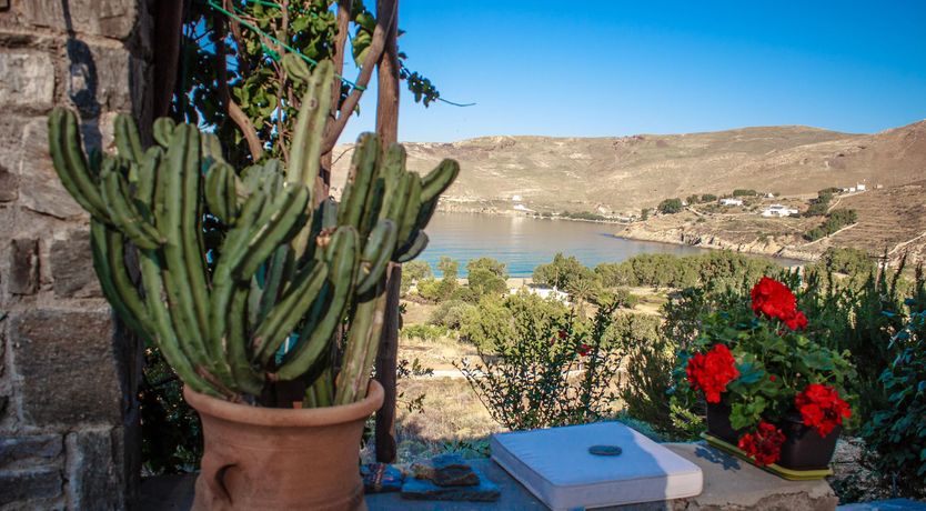 Photo of Shells Along The Shore