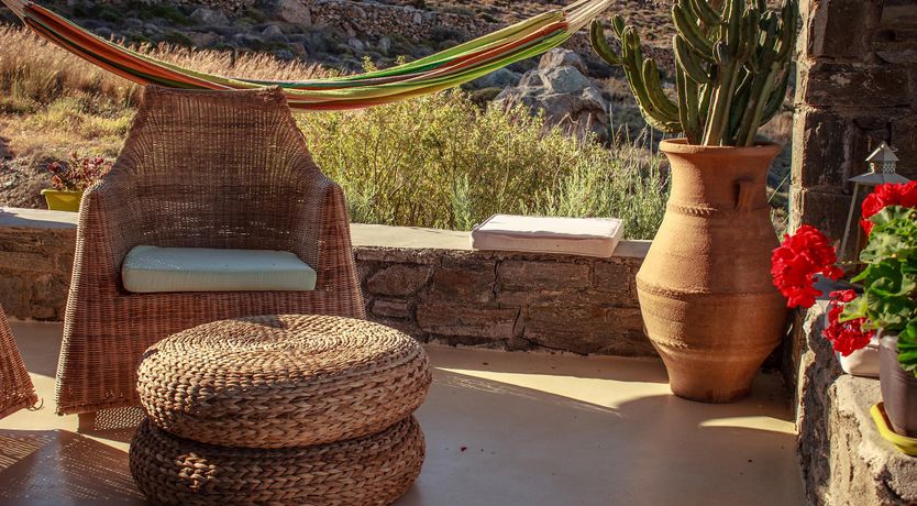 Photo of Shells Along The Shore