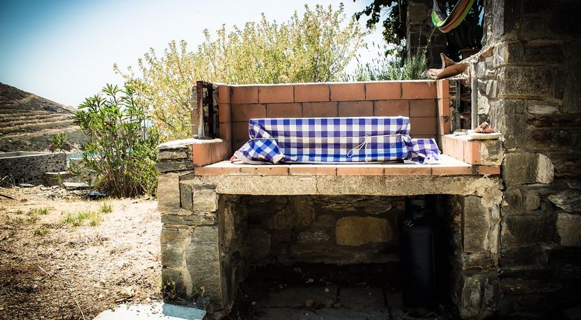 Photo of Shells Along The Shore