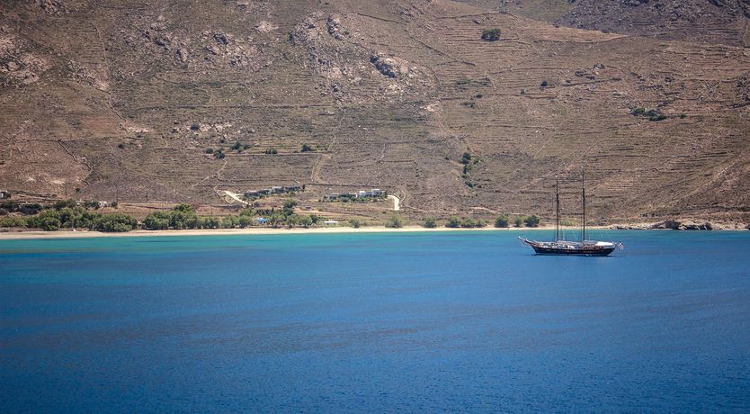 Photo of Shells Along The Shore