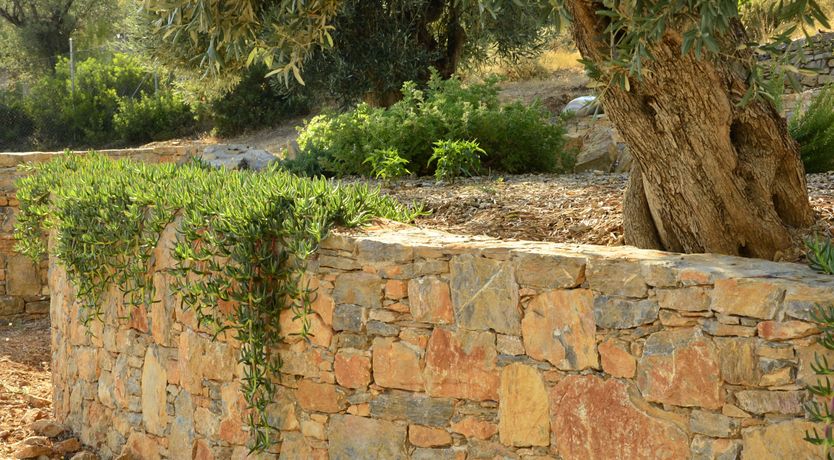 Photo of Pine Grove Haven