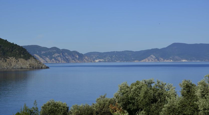 Photo of Pine Grove Haven