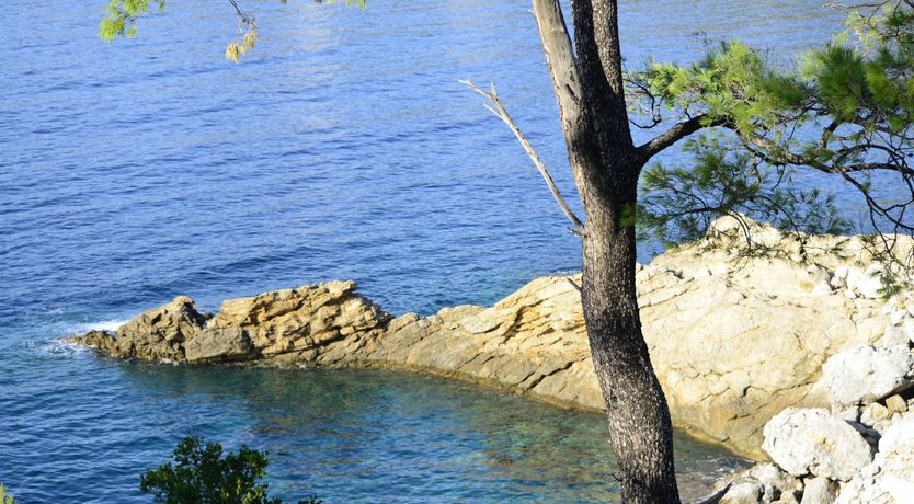 Photo of Pine Grove Haven