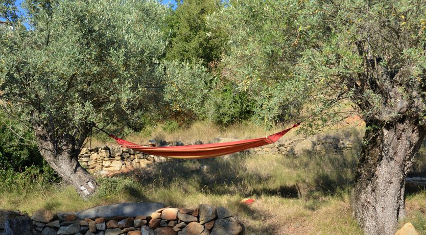 Photo of Pine Grove Haven