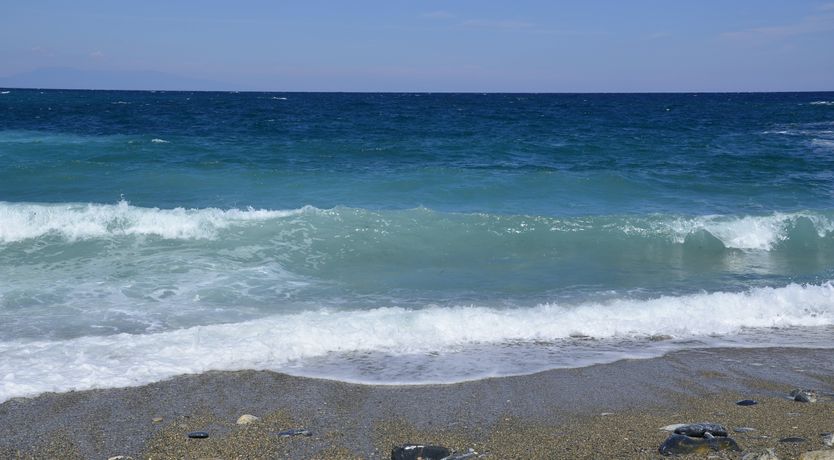 Photo of Pine Grove Haven