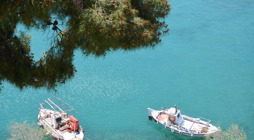 Photo of Pine Grove Haven