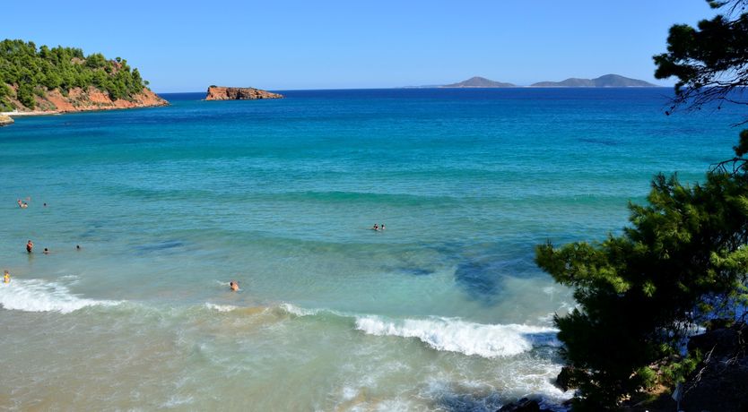 Photo of Pine Grove Haven