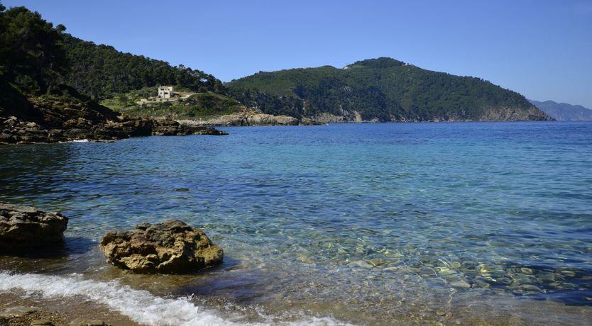 Photo of Pine Grove Haven