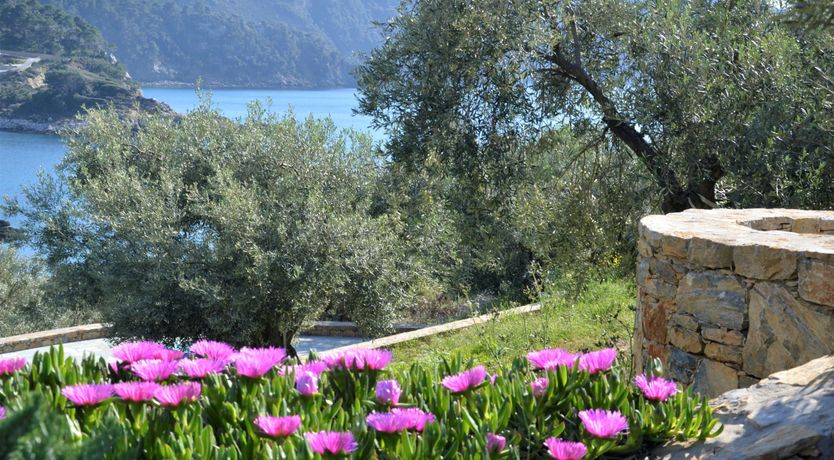 Photo of Pine Grove Haven