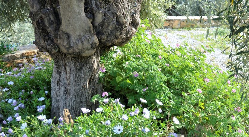 Photo of Pine Grove Haven