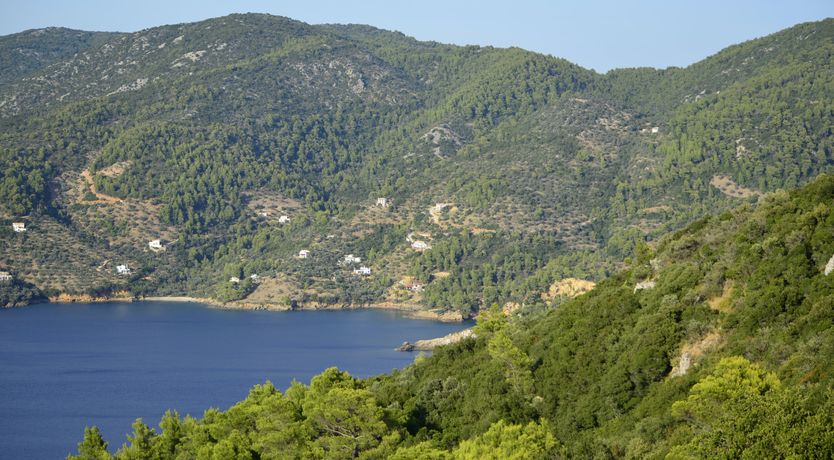 Photo of Pine Grove Haven