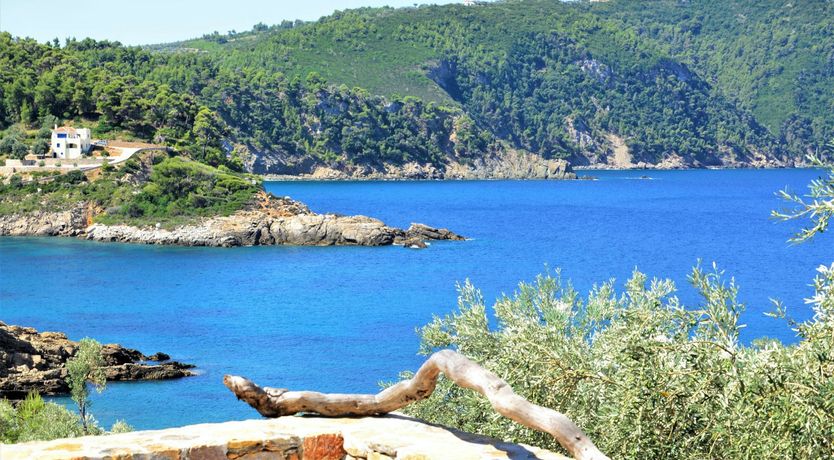 Photo of Pine Grove Haven