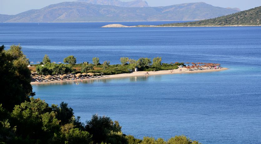 Photo of Pine Grove Haven