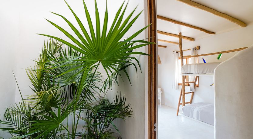 Photo of Caribbean Waters Edge