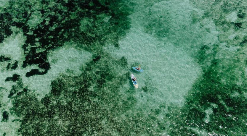 Photo of From The Tide