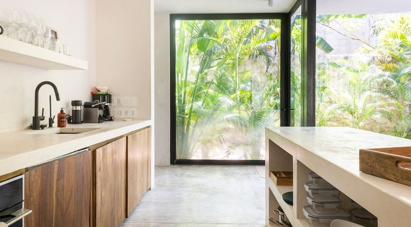 Photo of Jungle Symphony