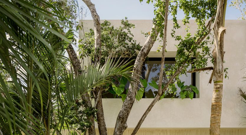 Photo of Jungle Symphony