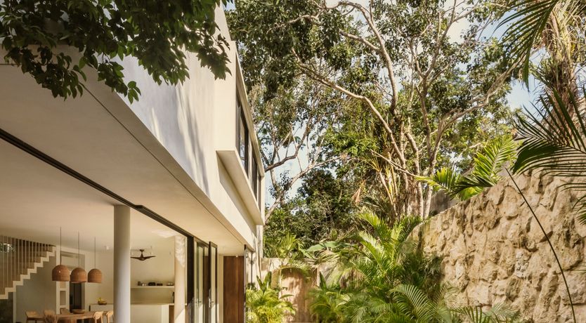 Photo of Jungle Symphony