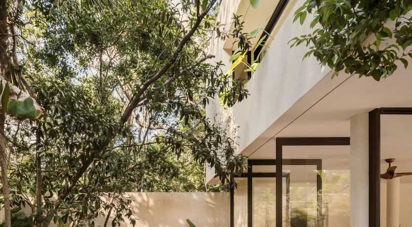 Photo of Jungle Symphony