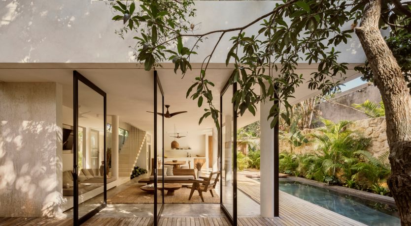 Photo of Jungle Symphony