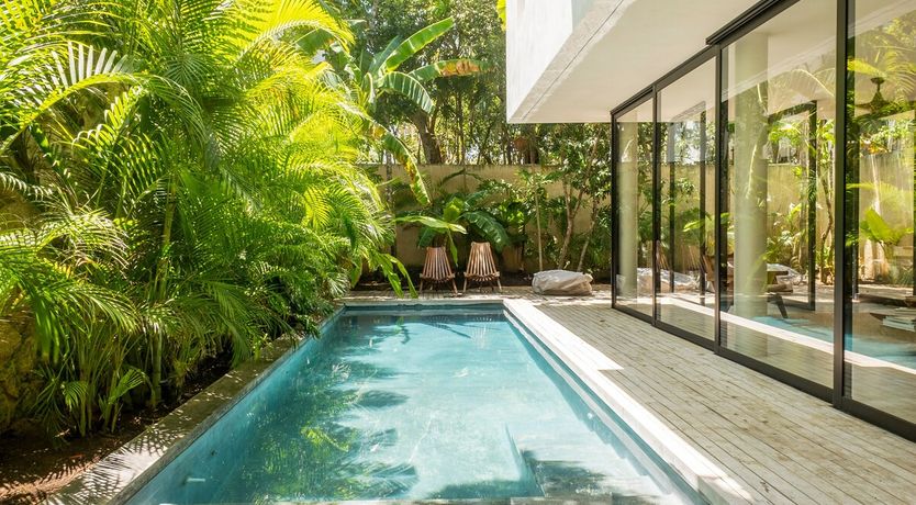 Photo of Jungle Symphony