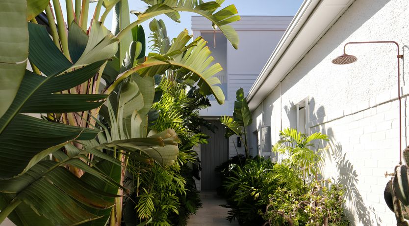 Photo of Palm Residence