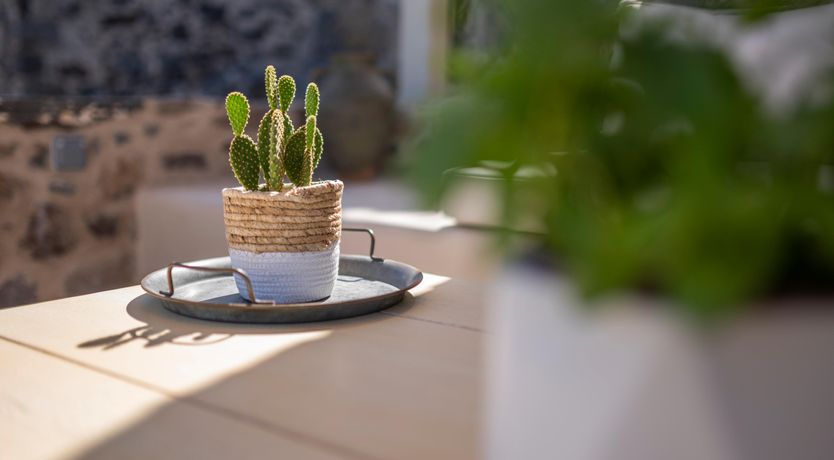 Photo of Harmonious View