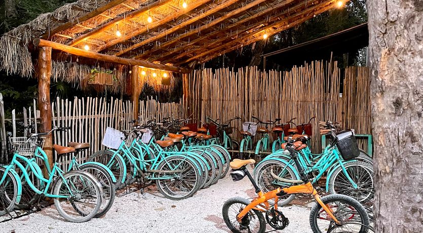 Photo of Tulum Oasis