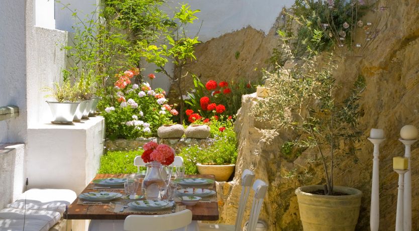 Photo of Poetic Beauty