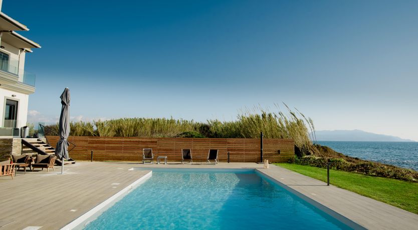 Photo of Olea Europaea