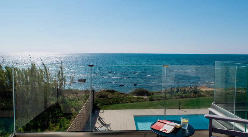 Photo of Olea Europaea