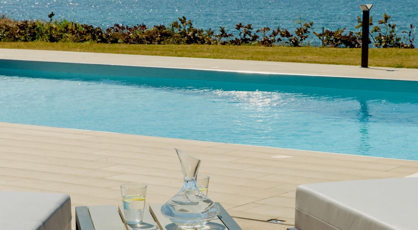 Photo of Olea Europaea