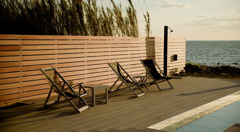 Photo of Olea Europaea