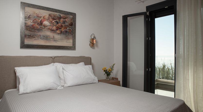 Photo of Olea Europaea