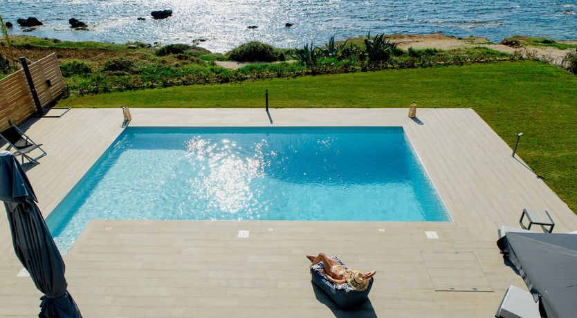 Photo of Olea Europaea